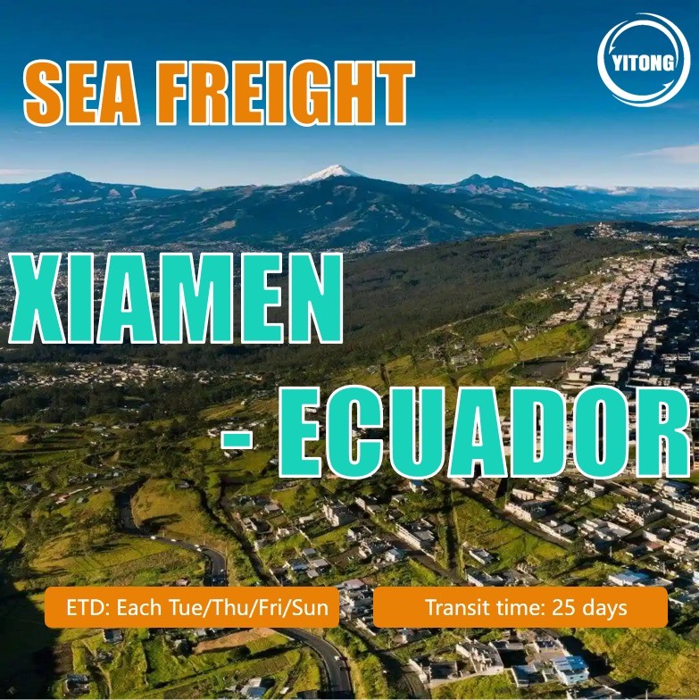 Ocean Shipping From Xiamen To Ecuador